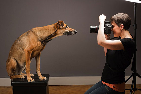 Pet photography is gaining popularity