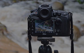 Become a freelance photographer