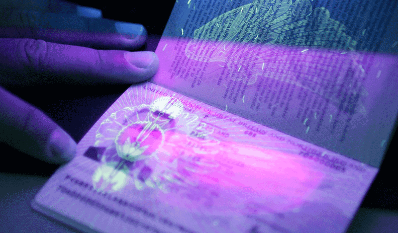 How To Make A Biometric Passport Photo In 30 Seconds